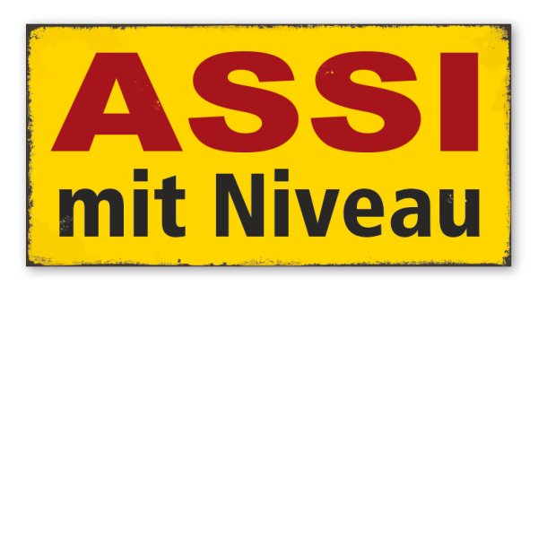 Retro Schild Assi mit Niveau